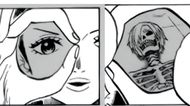 The fruit allows one to see through anything (Image Credits: Shueisha)